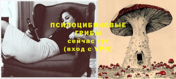 таблы Аркадак